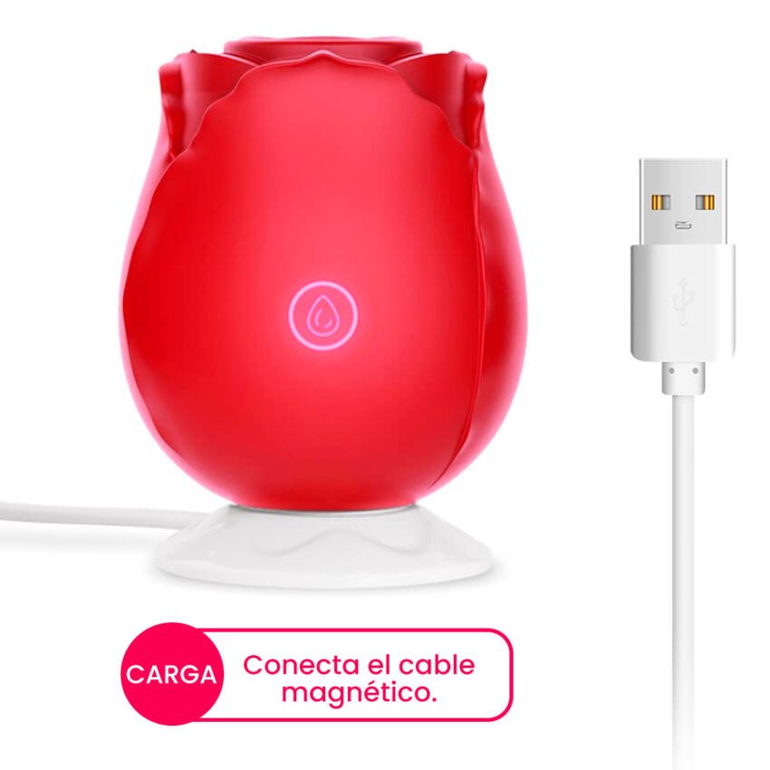 Rosa con vibrador y succionador con carga USB - Imagen de 5