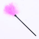 Pluma Erótica Para Estimulación Sensorial